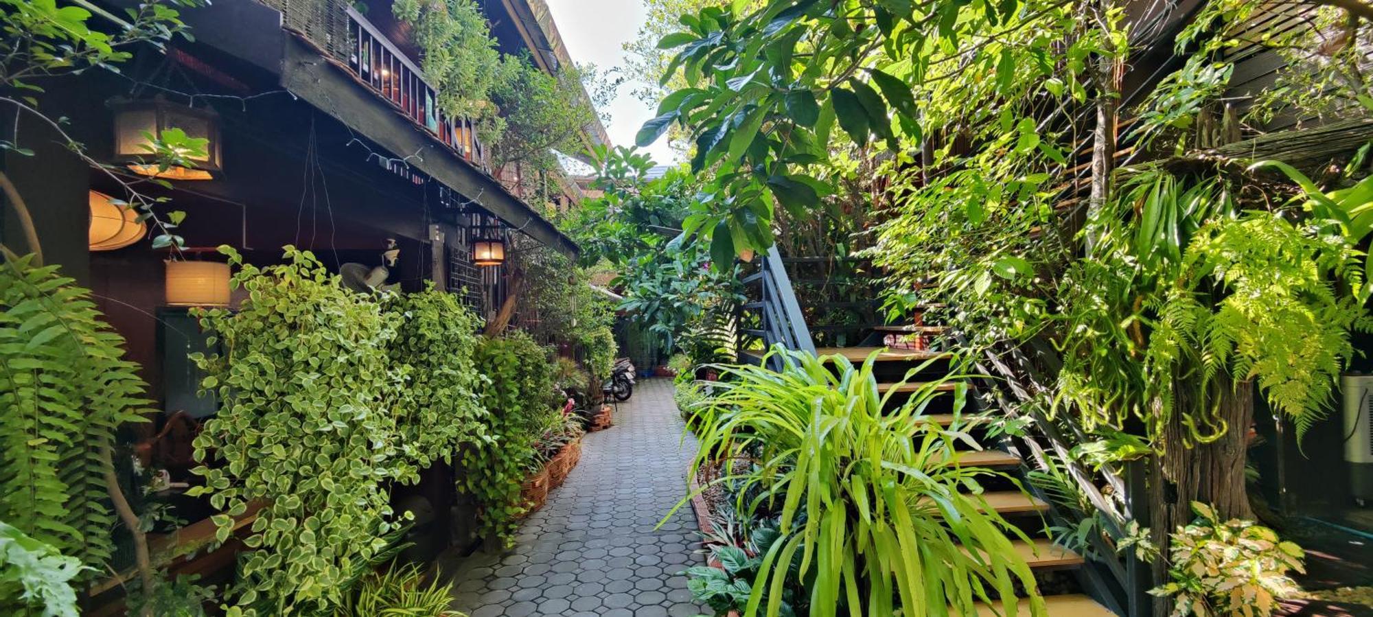 Hoh Guesthouse Chiang Mai Dış mekan fotoğraf