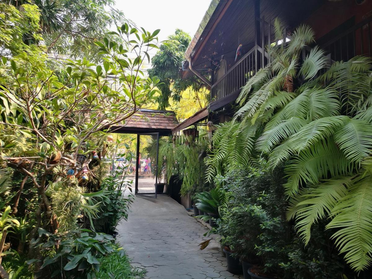 Hoh Guesthouse Chiang Mai Dış mekan fotoğraf